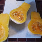 butternut squash cut with seeds